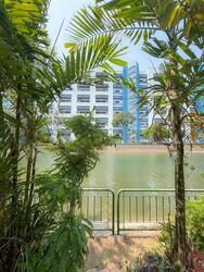 Canary Park (D16), Semi-Detached #614503551